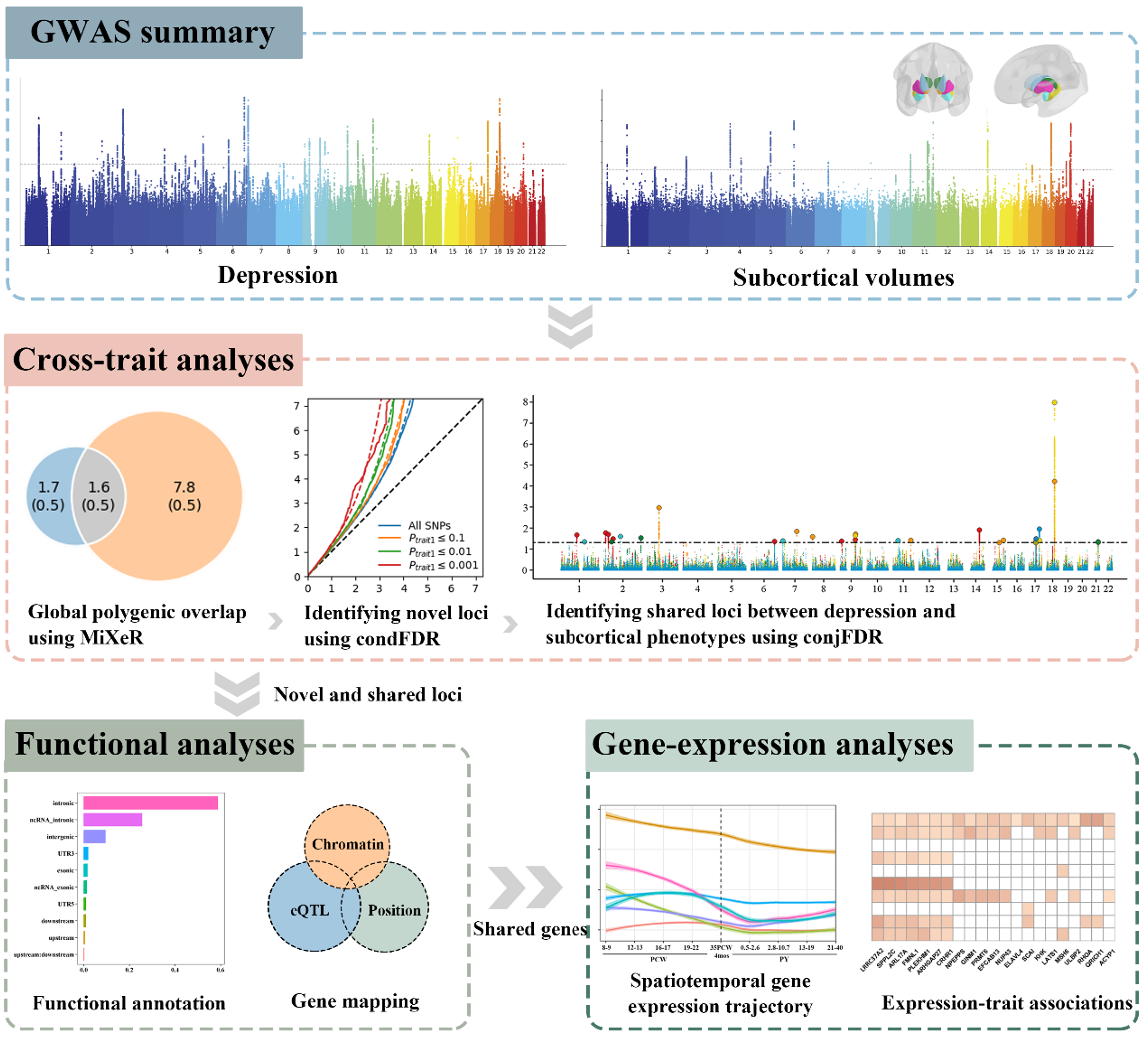 Flowchart_of_the_study_design